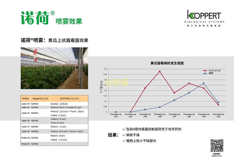 币游·国际(中国区)官方网站