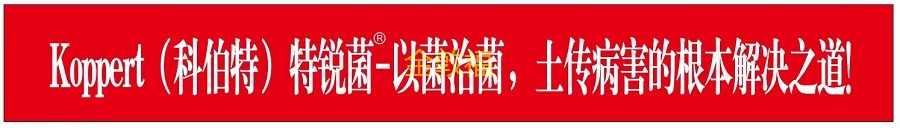 币游·国际(中国区)官方网站