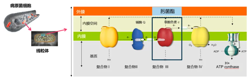 币游·国际(中国区)官方网站