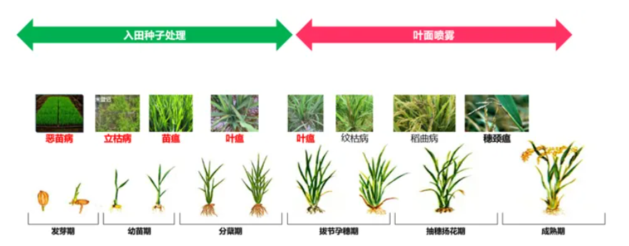 币游·国际(中国区)官方网站